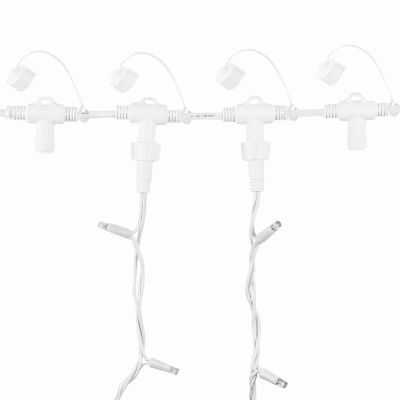 Modular LED Light Curtain  (V2) - 2mtr Header Cable - 20 Outlet