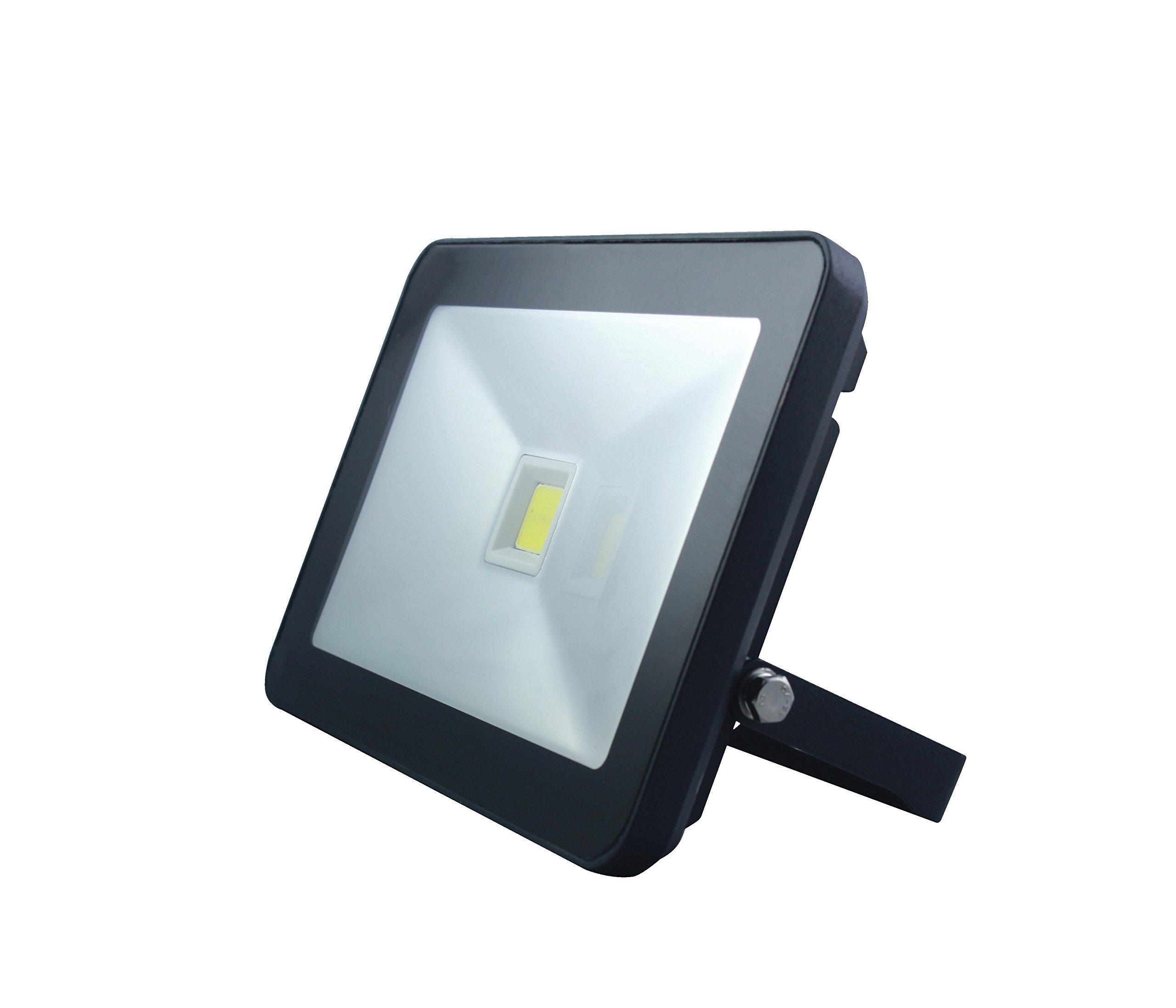 30W IP66 LED Floodlight - Black